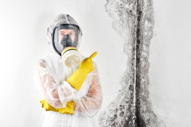 Best Attic Mold Removal  in Alanes Ridge, CA